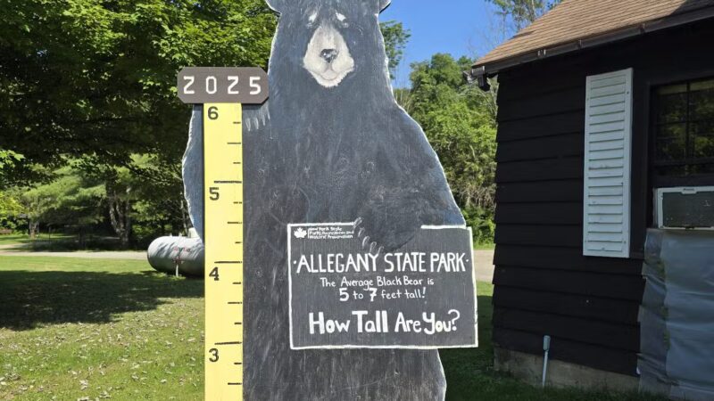 Allegany State Park - Quaker Rental Office - Salamanca, NY