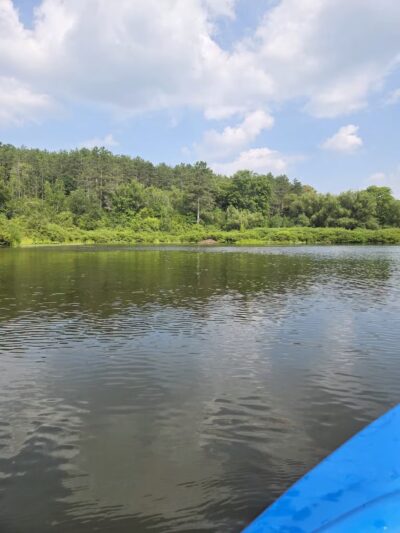 Allegany State Park - Salamanca, NY