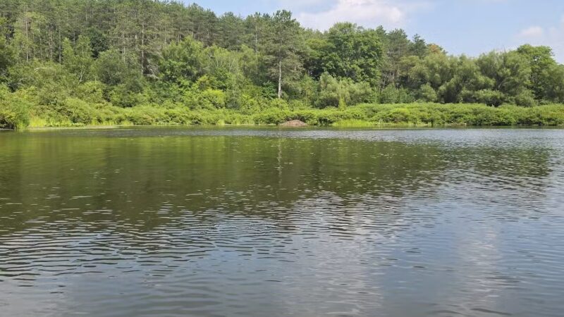 Allegany State Park - Salamanca, NY