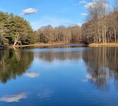 Allegany State Park - Quaker Area - Salamanca, NY