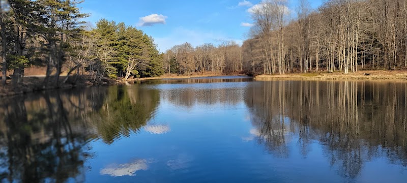 Allegany State Park - Quaker Area - Salamanca, NY
