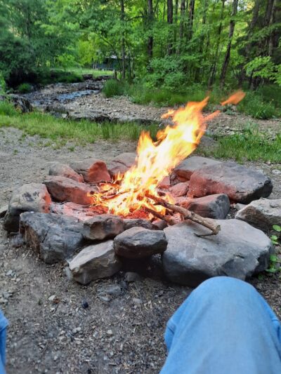 Allegany State Park - Quaker Area - Salamanca, NY