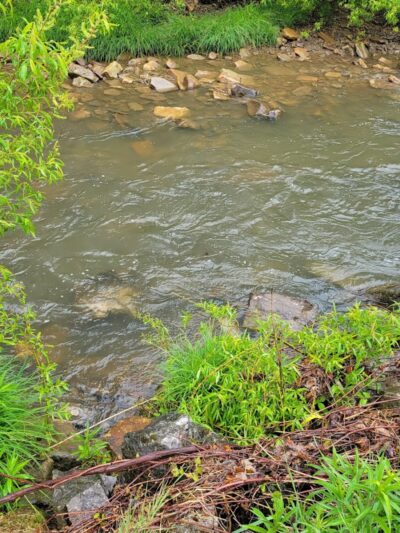 Allegany State Park - Quaker Area - Salamanca, NY