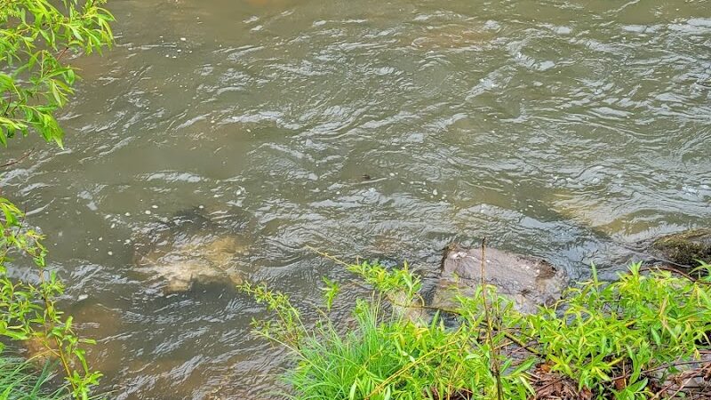 Allegany State Park - Quaker Area - Salamanca, NY