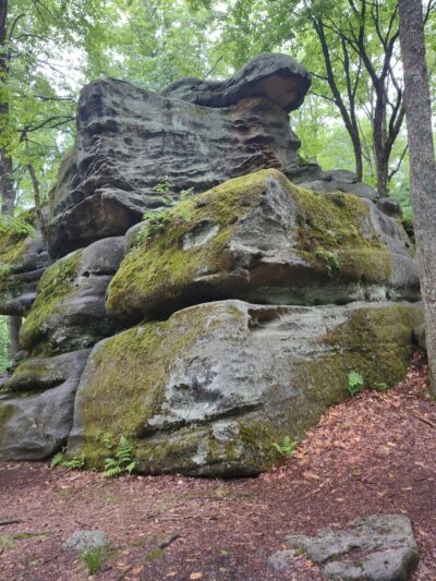 Allegany State Park - Quaker Area - Salamanca, NY