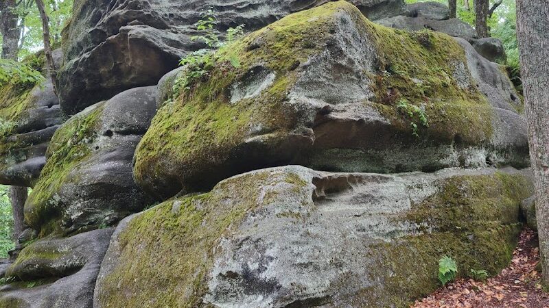 Allegany State Park - Quaker Area - Salamanca, NY