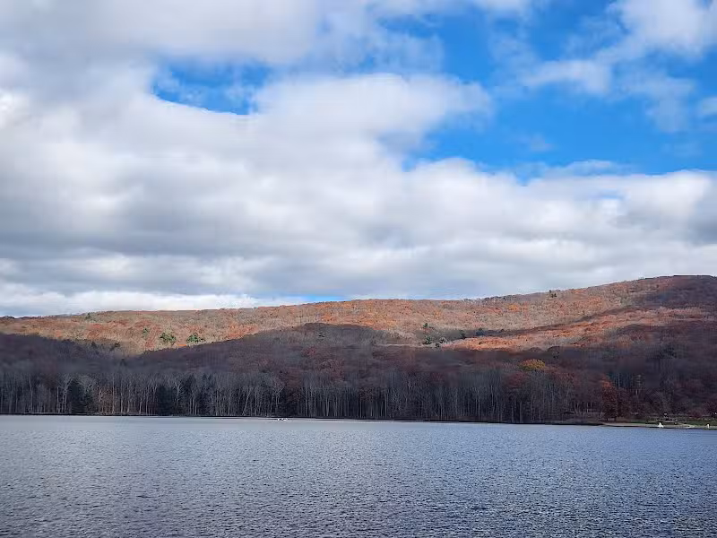 Allegany State Park - Quaker Area - Salamanca, NY