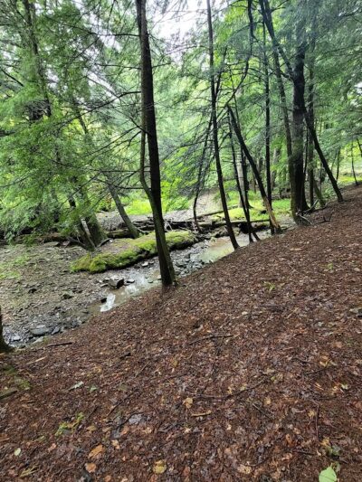 Camp Allegany, Allegany State Park - Salamanca, NY