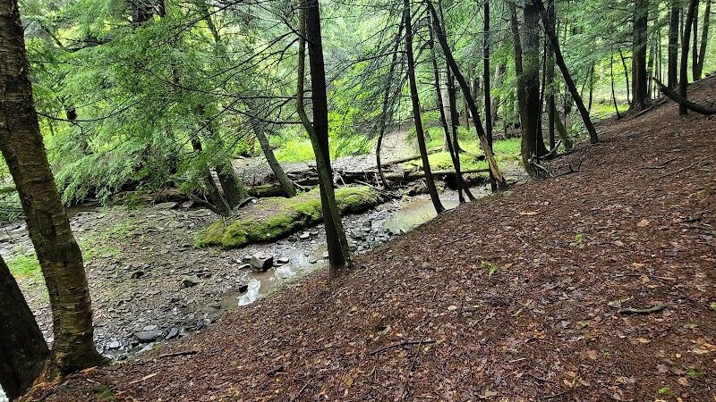 Camp Allegany, Allegany State Park - Salamanca, NY