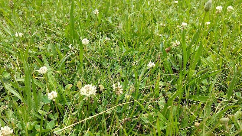 Camp Allegany, Allegany State Park - Salamanca, NY