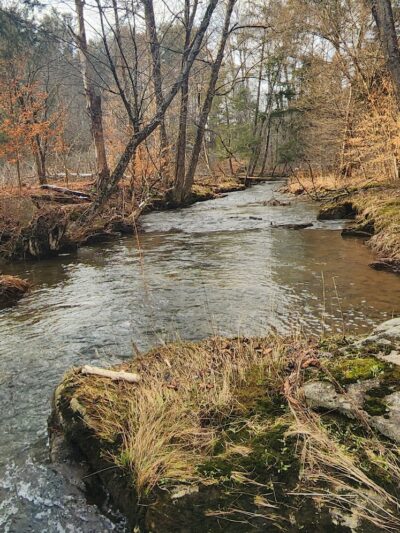 Red House Beach at Allegany State Park - Salamanca, NY