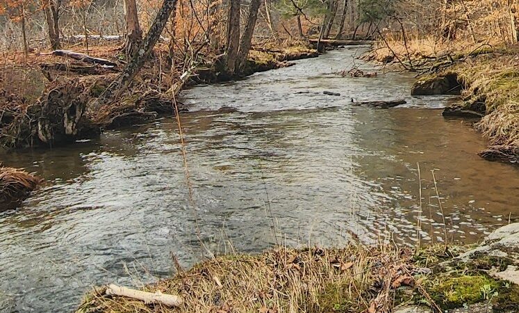 Red House Beach at Allegany State Park - Salamanca, NY