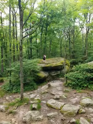 Allegany State Park - Salamanca, NY