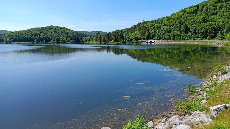 Allegany State Park - Salamanca, NY
