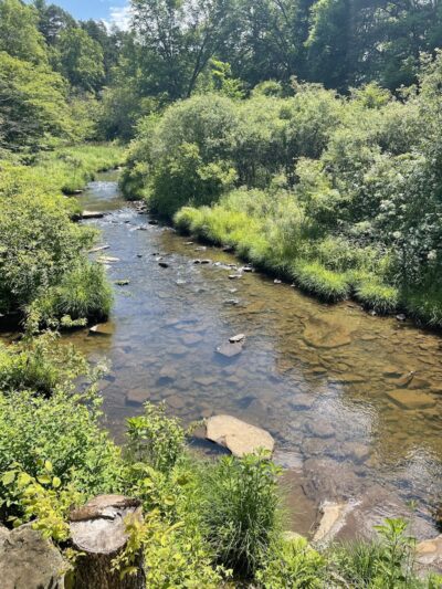 Allegany State Park - Salamanca, NY