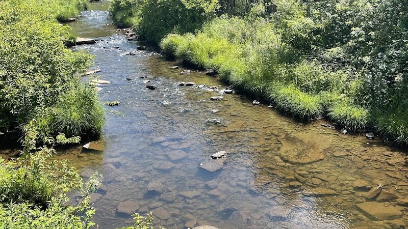 Allegany State Park - Salamanca, NY
