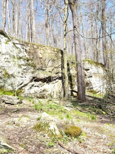 Allegany State Park - Red House Area - Salamanca, NY