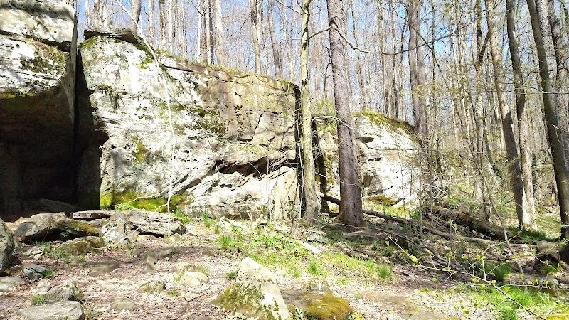 Allegany State Park - Red House Area - Salamanca, NY