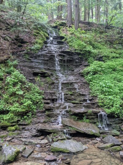 Allegany State Park - Red House Area - Salamanca, NY