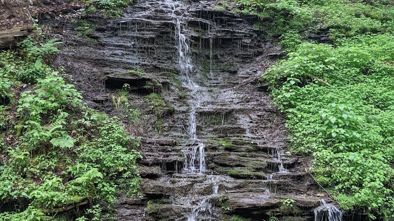 Allegany State Park - Red House Area - Salamanca, NY