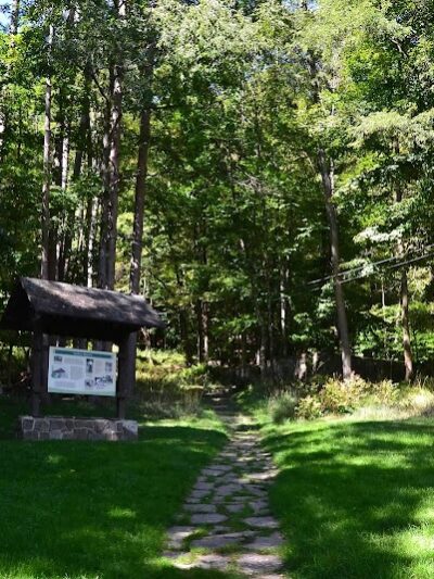 Allegany State Park - Red House Area - Salamanca, NY