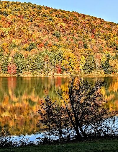 Allegany State Park - Red House Area - Salamanca, NY