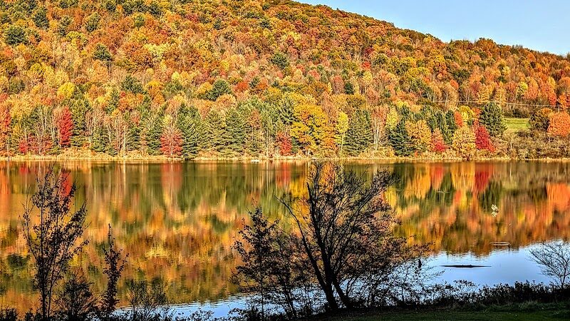 Allegany State Park - Red House Area - Salamanca, NY