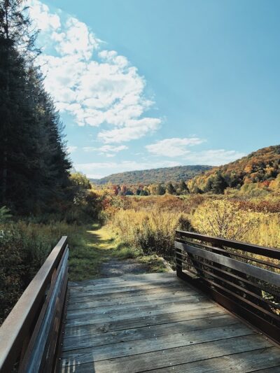 Allegany State Park - Red House Area - Salamanca, NY