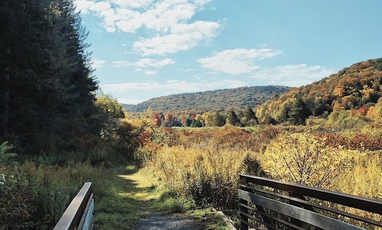 Allegany State Park - Red House Area - Salamanca, NY