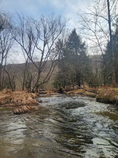 Allegany State Park - Red House Area - Salamanca, NY