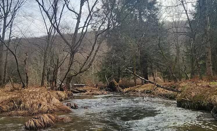Allegany State Park - Red House Area - Salamanca, NY