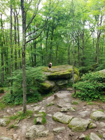 Allegany State Park - Salamanca, NY