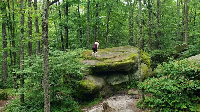 Allegany State Park - Salamanca, NY