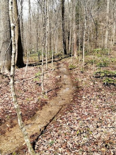 Lower Leggett Rd.Trail Head - Sale Creek, TN