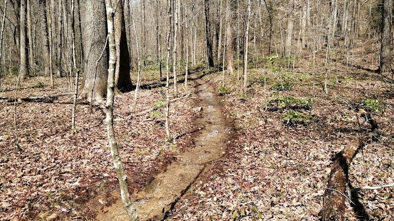Lower Leggett Rd.Trail Head - Sale Creek, TN