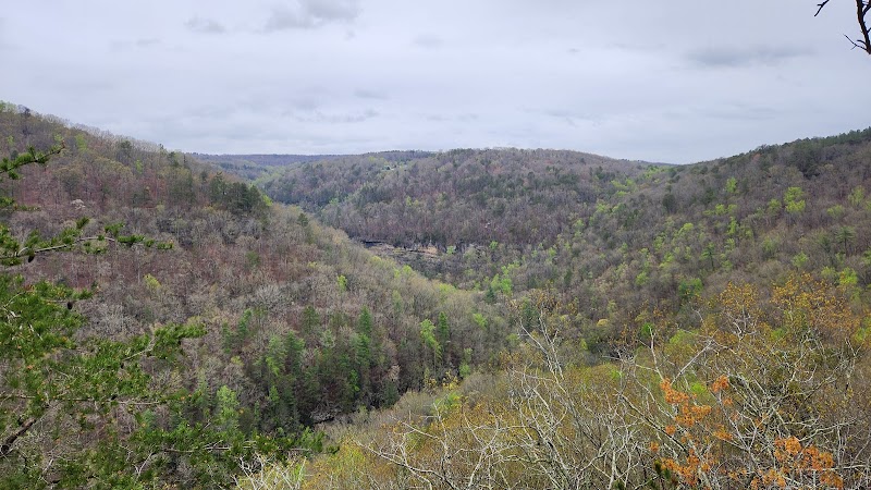 Lower Leggett Rd.Trail Head - Sale Creek, TN