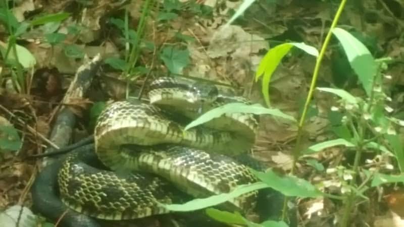 Lower Leggett Rd.Trail Head - Sale Creek, TN