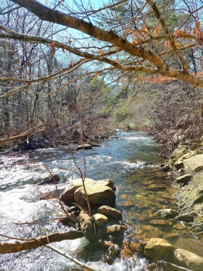 Lower Leggett Rd.Trail Head - Sale Creek, TN