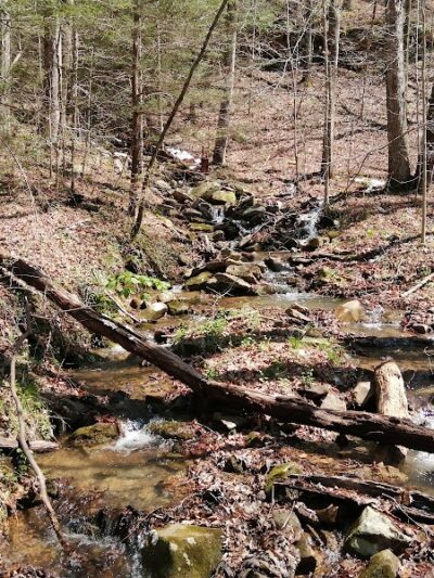 Lower Leggett Rd.Trail Head - Sale Creek, TN