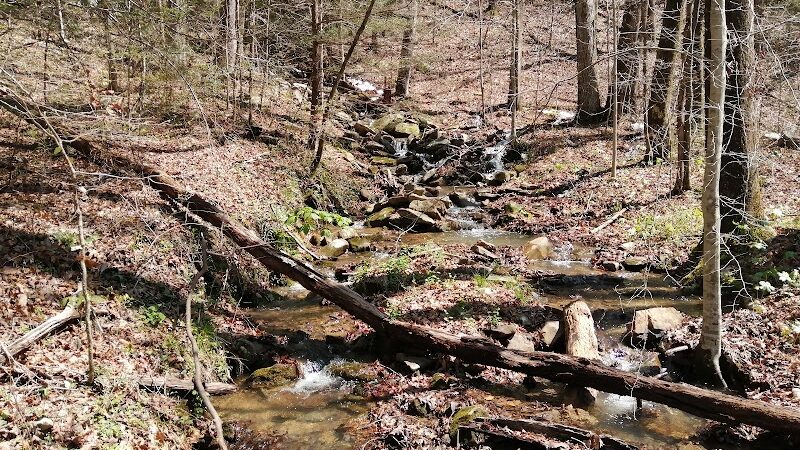 Lower Leggett Rd.Trail Head - Sale Creek, TN
