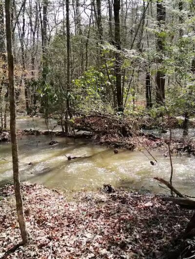 Lower Leggett Rd.Trail Head - Sale Creek, TN