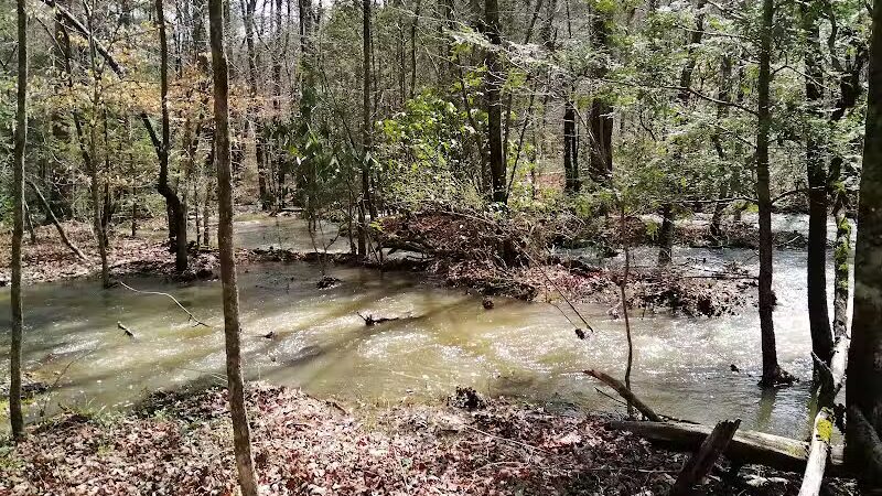 Lower Leggett Rd.Trail Head - Sale Creek, TN