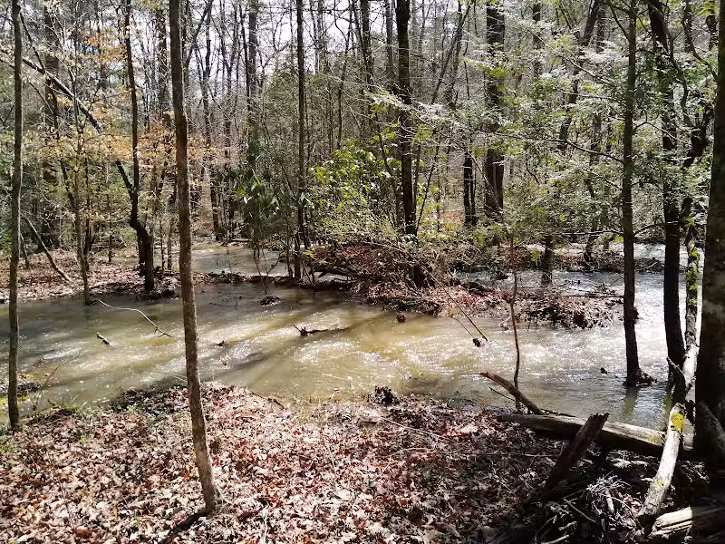 Lower Leggett Rd.Trail Head - Sale Creek, TN