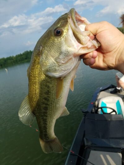 Sale Creek Recreation Area - Sale Creek, TN