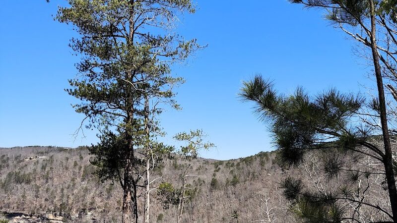 Upper Leggett Trailhead - Sale Creek, TN