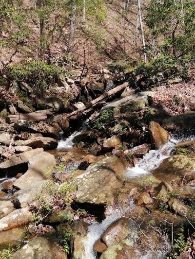 Upper Leggett Trailhead - Sale Creek, TN