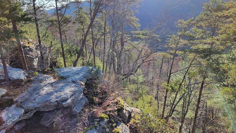 Upper Leggett Trailhead - Sale Creek, TN