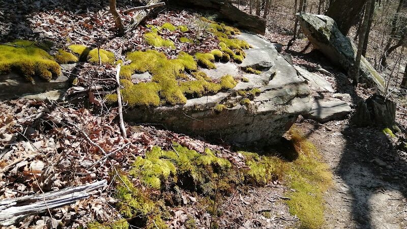 Upper Leggett Trailhead - Sale Creek, TN
