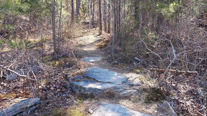 Upper Leggett Trailhead - Sale Creek, TN