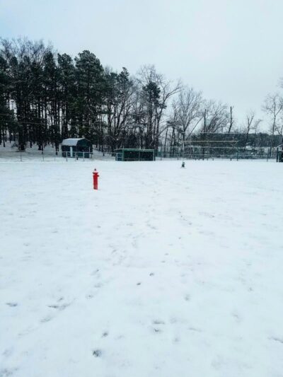 Salem Dog Park - Salem, IL